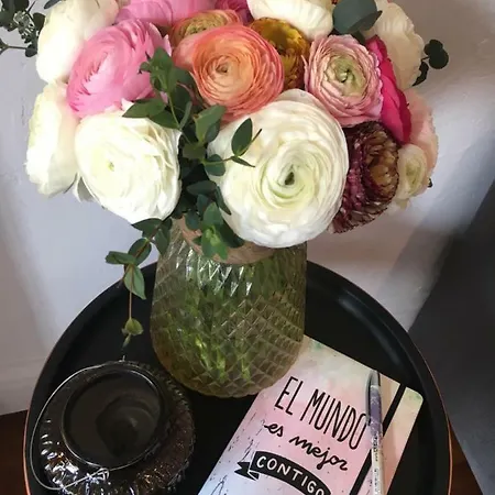 Loft - 15 Min Palais Des Festivals Apartment *